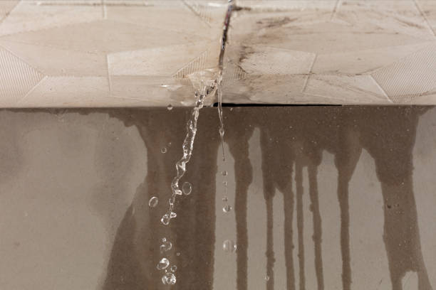 Professional Burst Pipe Cleanup technician working in Petersburg, TX